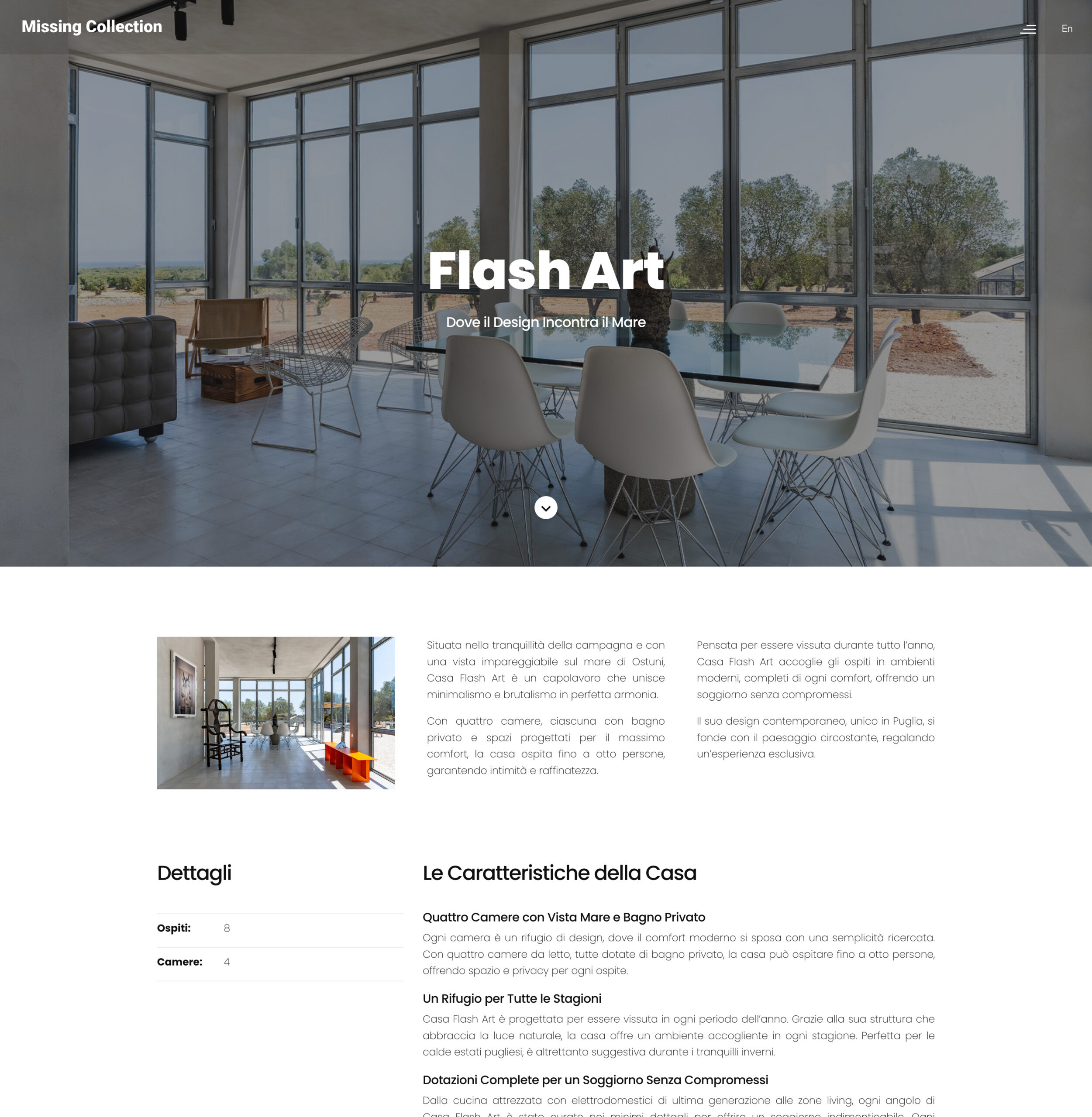 Sito web Missing Collection prima del restyling — progetto UI UX design